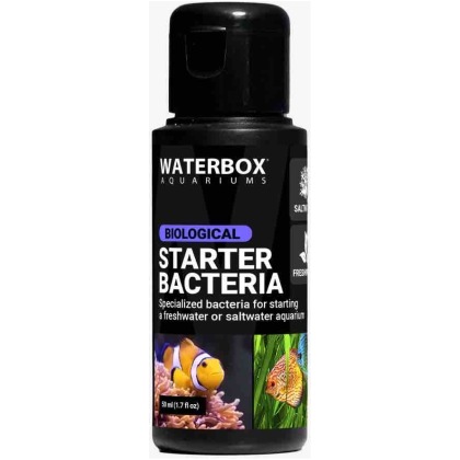 Starter Bacteria 50ml...